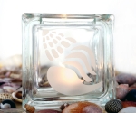 tea light candle holder seashell Buccinidae