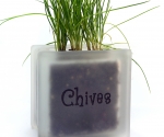 Windowsill herb pot glass block with Chives