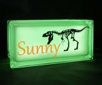 Personalised glass block night light with dinosaur decal