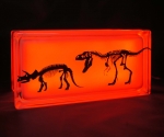 Glass block night light with dinosaur decal