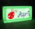 Glass block personalised night light with lady bug