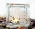 tea light candle holder seashell Neritidae