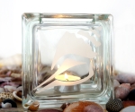 tea light candle holder seashell conch