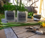 Glass block parsley and chives herb pots