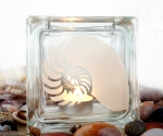 tea light candle holder seashell nautilus