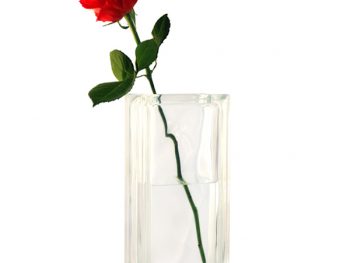 Tall glass vase with single red rose