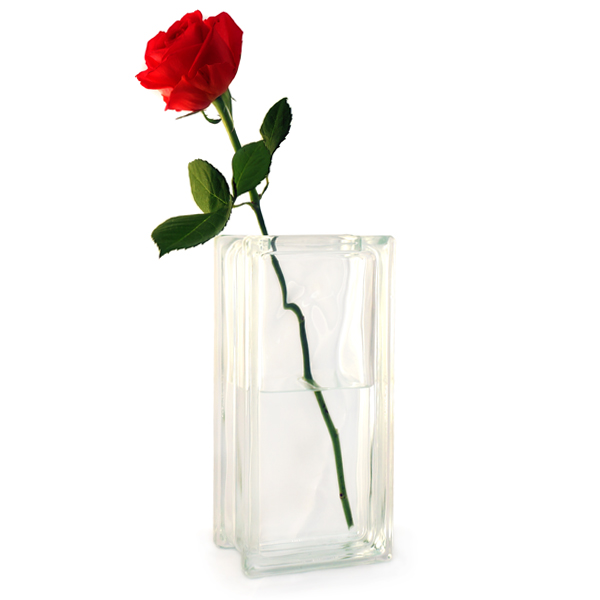 Tall glass vase with single red rose