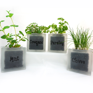 Glass block herb pots with parsely mint chives