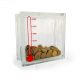 Glass block money box with thermometer decal