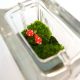 mini glass block moss terrarium with red toadstools