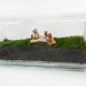 Glass block moss terrarium with teddy bear picnic