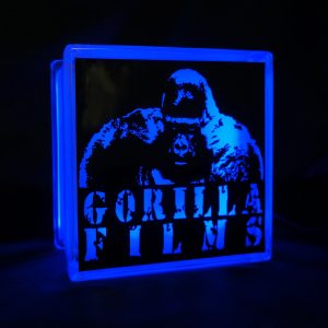 Gorilla Films glass block LED GLoblock light